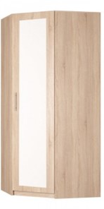 Распашной шкаф угловой Реал (YR-230х1034 (3)-М Вар.1), с зеркалом в Шахтах