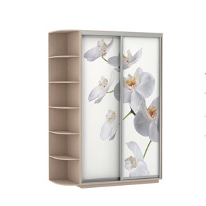 Шкаф 2-створчатый Экспресс 1700x600x2200, со стеллажом, Орхидея белая/дуб молочный в Ростове-на-Дону
