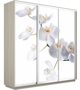Шкаф 3-дверный Экспресс 1800х600х2200, Орхидея белая/шимо светлый в Батайске