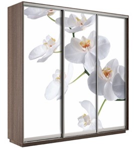 Шкаф 3-х дверный Экспресс 2400х600х2200, Орхидея белая/шимо темный в Шахтах