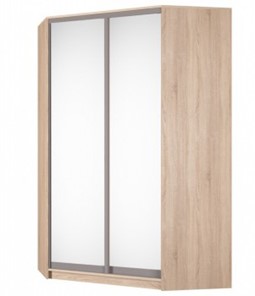 Шкаф угловой Аларти (YA-230х1400(602) (4) Вар. 3; двери D5+D5), с зеркалом в Шахтах