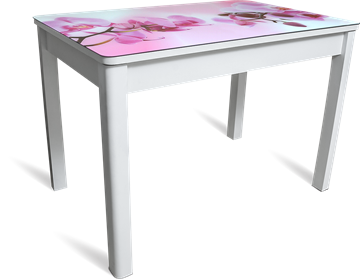 Кухонный обеденный стол Айсберг-08 СТФ, белое лдсп/орхидея/40 прямые массив белые в Шахтах