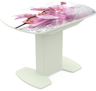 Кухонный стол раскладной Корсика исп. 2 Фотопечать (Цветы №55) 1200(1515)*800 в Шахтах