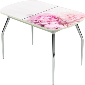 Кухонный стол раздвижной Ривьера исп.1 ноги метал. крашеные №24 Фотопечать (Цветы №49) в Шахтах
