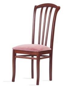Кухонный стул Веер-Ж (нестандартная покраска) в Шахтах