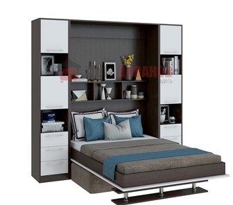 Кровать-шкаф с диваном DetalMaster Бела 1, с полкой ножкой, 1200х2000, венге/белый в Таганроге
