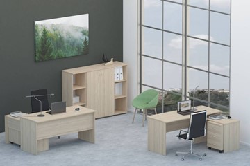 Набор мебели в офис Twin для 2 сотрудников со шкафом для документов в Батайске