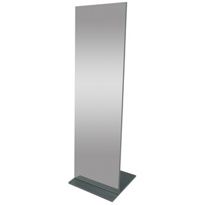 Напольное зеркало Стелла (графит темный) 163,5 см x 50 см в Шахтах