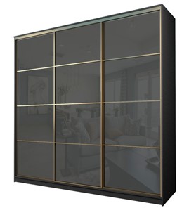 Шкаф 3-х дверный MAX МШ-25-6-24/2-222, Профиль Золото/Цвет Серый/Oraclal темно-серый в Шахтах