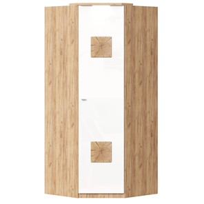 Шкаф угловой 45 с декоративной накладкой Фиджи, 659.248, белый в Шахтах