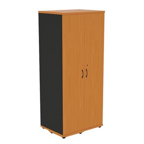 Шкаф-гардероб Моно-Люкс G5A05 в Шахтах