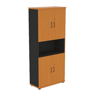 Шкаф для бумаг Моно-Люкс R5S22 в Каменск-Шахтинском