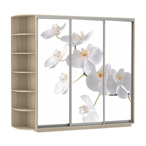 Шкаф 3-створчатый Экспресс со стеллажом, 2100х600х2200, Орхидея белая/шимо светлый в Шахтах - предосмотр