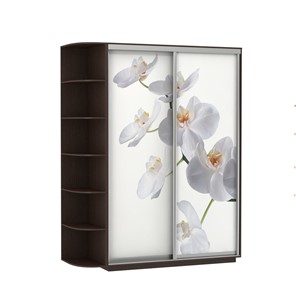 Шкаф 2-х створчатый Экспресс 1900x600x2200, со стеллажом, Орхидея белая/венге в Шахтах