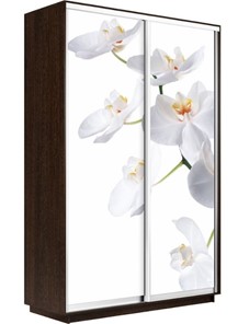 Шкаф двухдверный Экспресс 1400x600x2400, Орхидея белая/венге в Шахтах