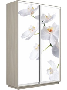 Шкаф 2-х створчатый Экспресс 1600x450x2200, Орхидея белая/шимо светлый в Шахтах