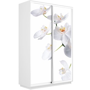 Шкаф Экспресс 1600x450x2400, Орхидея белая/белый снег в Шахтах