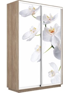 Шкаф Экспресс 1600x450x2400, Орхидея белая/дуб сонома в Шахтах