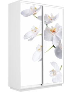 Шкаф Экспресс 1600x600x2200, Орхидея белая/белый снег в Батайске
