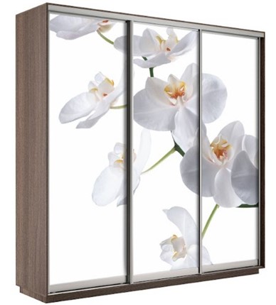Шкаф Экспресс 1800х600х2200, Орхидея бела/шимо темный в Батайске - изображение