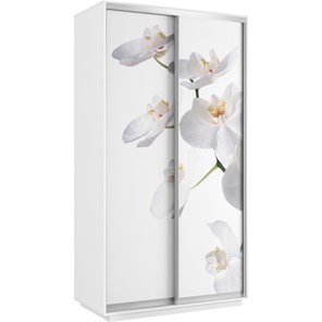 Шкаф 2-х створчатый Хит 1200x600x2200, белая орхидея, белый снег в Батайске