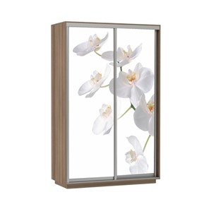 Шкаф 2-створчатый Экспресс 1600x600x2200, Орхидея белая/шимо темный в Батайске