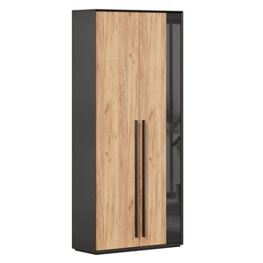 Шкаф для прихожей 2-дверный Неаполь ЛД.134050.000 (Черный/Дуб Золотой) в Батайске