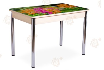 Кухонный раздвижной стол Айсберг-02 СТФ, Дуб ЛДСП/полевые цветы/ноги хром прямые в Батайске