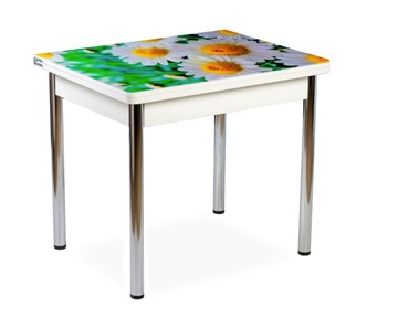 Кухонный пристенный стол СПА-01 СТФ, белый/фотопечать ромашки/опоры прямые хром в Шахтах - предосмотр