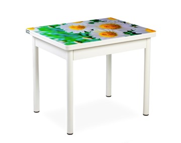 Кухонный пристенный стол СПА-01 СТФ, белый/фотопечать ромашки/опоры прямые белые в Шахтах