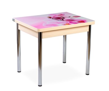 Кухонный пристенный стол СПА-01 СТФ, молочный дуб/фотопечать орхидея/опоры прямые хром в Шахтах