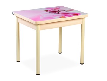 Кухонный пристенный стол СПА-02 СТФ, молочный дуб/фотопечать орхидея/опоры бежевый в Шахтах
