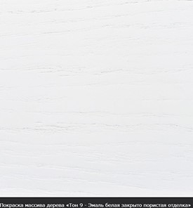 Кухонный раскладной стол Фабрицио-1 исп. Эллипс, Тон 12 Покраска + патина с прорисовкой (на столешнице) в Ростове-на-Дону - предосмотр 16