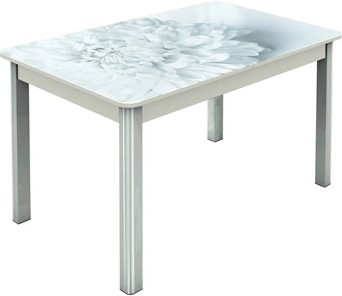 Обеденный раздвижной стол Гамбург исп.2 ноги метал. крашеные №23, Фотопечать (Цветы №27) в Шахтах