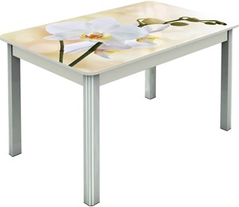 Кухонный раскладной стол Гамбург исп.2 ноги метал. крашеные №23, Фотопечать (Цветы №5) в Шахтах - предосмотр