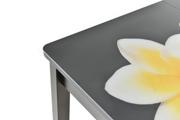 Кухонный стол раздвижной Гамбург исп.2 ноги метал. крашеные №23, Фотопечать (Фрукты №28) в Шахтах - предосмотр 8