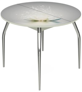 Кухонный стол раздвижной Ривьера - Круг, ноги хром №5, ФП (Цветы №29) в Шахтах