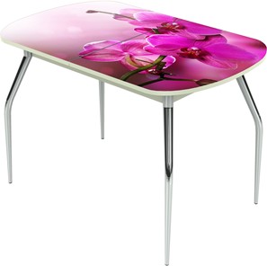 Обеденный раздвижной стол Ривьера исп.1 ноги метал. крашеные №24 Фотопечать (Цветы №16) в Шахтах