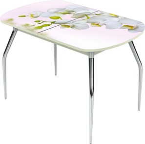 Кухонный стол раздвижной Ривьера исп.1 ноги метал. крашеные №24 Фотопечать (Цветы №7) в Шахтах