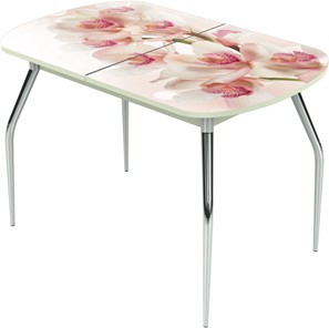 Кухонный стол раскладной Ривьера исп.1 ноги метал. крашеные №24 Фотопечать (Цветы №8) в Шахтах
