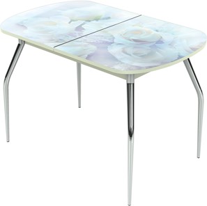 Кухонный стол раздвижной Ривьера исп.2 ноги метал. крашеные №24 Фотопечать (Цветы №36) в Шахтах