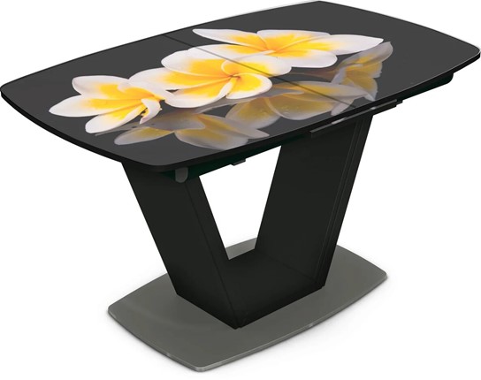 Кухонный стол раздвижной Севилья Фотопечать (Цветы №11) в Шахтах - изображение