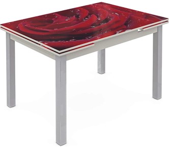 Кухонный стол раздвижной Шанхай исп. 2, ноги метал. крашеные №21 Фотопечать (Цветы №39) в Шахтах