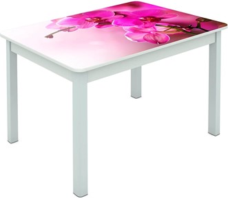 Обеденный стол Мюнхен исп. 1 ноги метал. крашеные №23 Фотопечать (Цветы №16) в Шахтах
