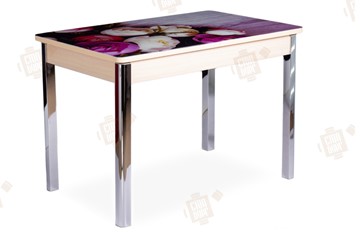 Кухонный стол раздвижной Айсберг-01 СТФ, дуб/фотопечать пионы/ноги хром квадратные в Шахтах