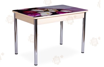 Кухонный стол раздвижной Айсберг-01 СТФ, дуб/фотопечать пионы/ноги хром прямые круглые в Батайске