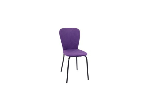 Кухонный стул Роджер Эконом С102-2(стандартная покраска) в Шахтах - изображение