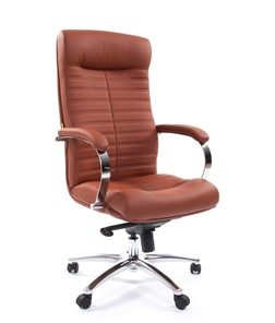 Кресло компьютерное CHAIRMAN 480 Экокожа Terra 111 (коричневая) в Шахтах - предосмотр