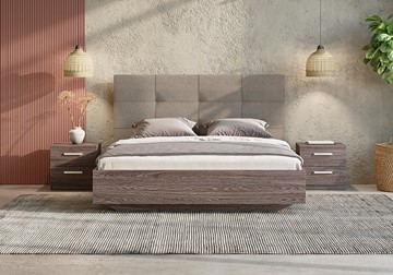 Двуспальная кровать с механизмом Victoria (ясень анкор) 160х190 в Батайске