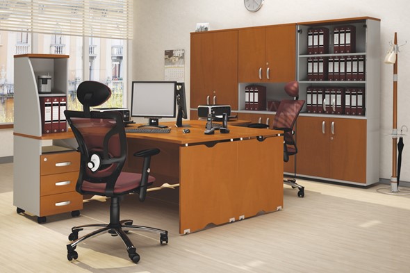 Офисный комплект мебели Милан для 2 сотрудников с тумбочками и большим шкафом в Шахтах - изображение